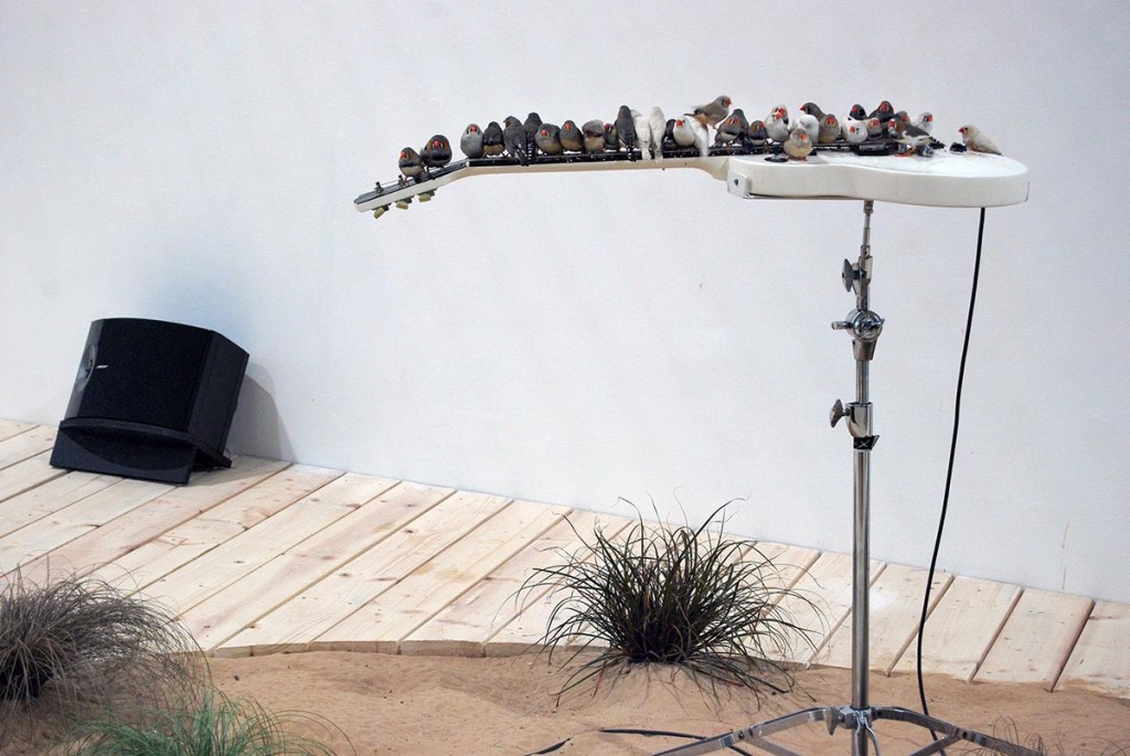 3.Céleste-Boursier-Mougenot_edited-1